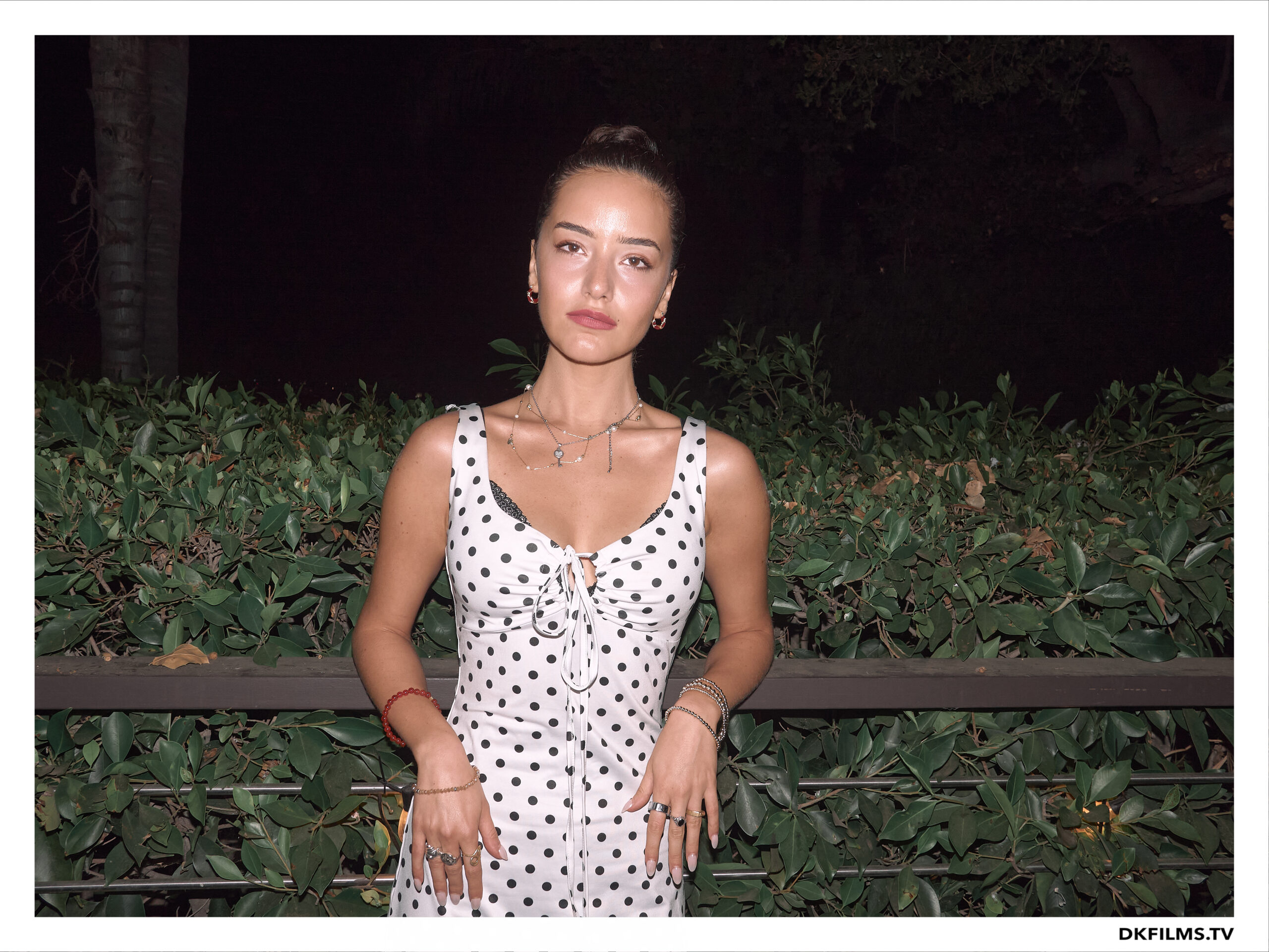 Damiano’s-Hollywood-Hills-Party Damiano’s-Hollywood-Hills-Party