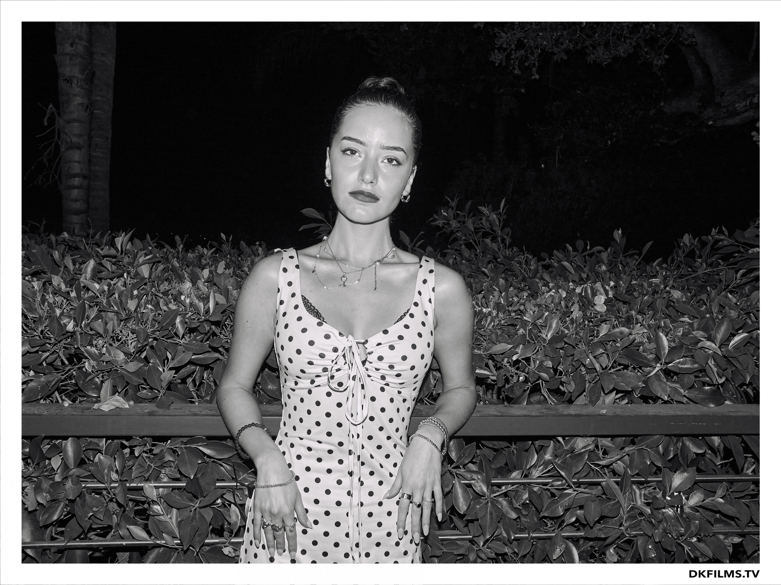 Damiano’s-Hollywood-Hills-Party Damiano’s-Hollywood-Hills-Party