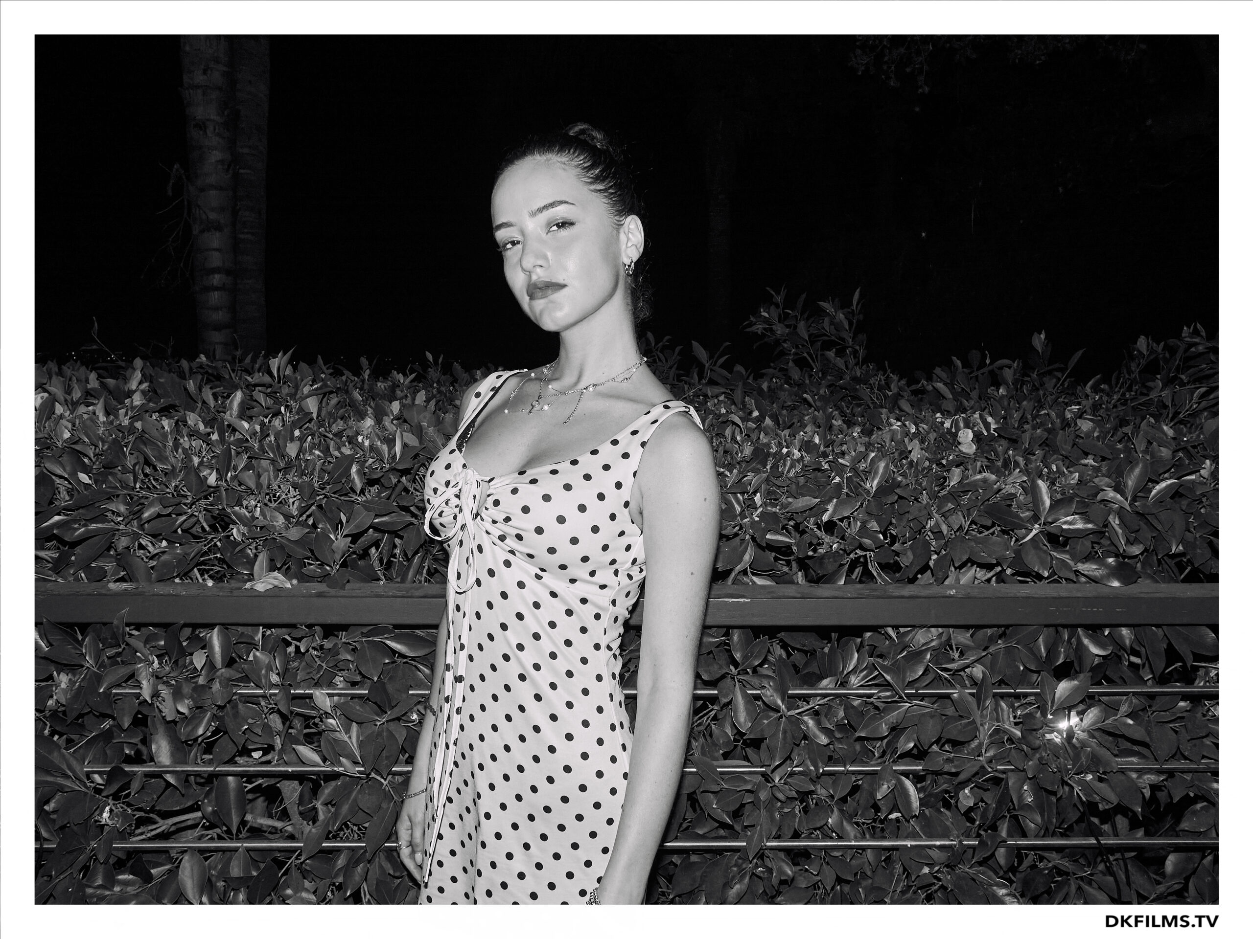 Damiano’s-Hollywood-Hills-Party Damiano’s-Hollywood-Hills-Party