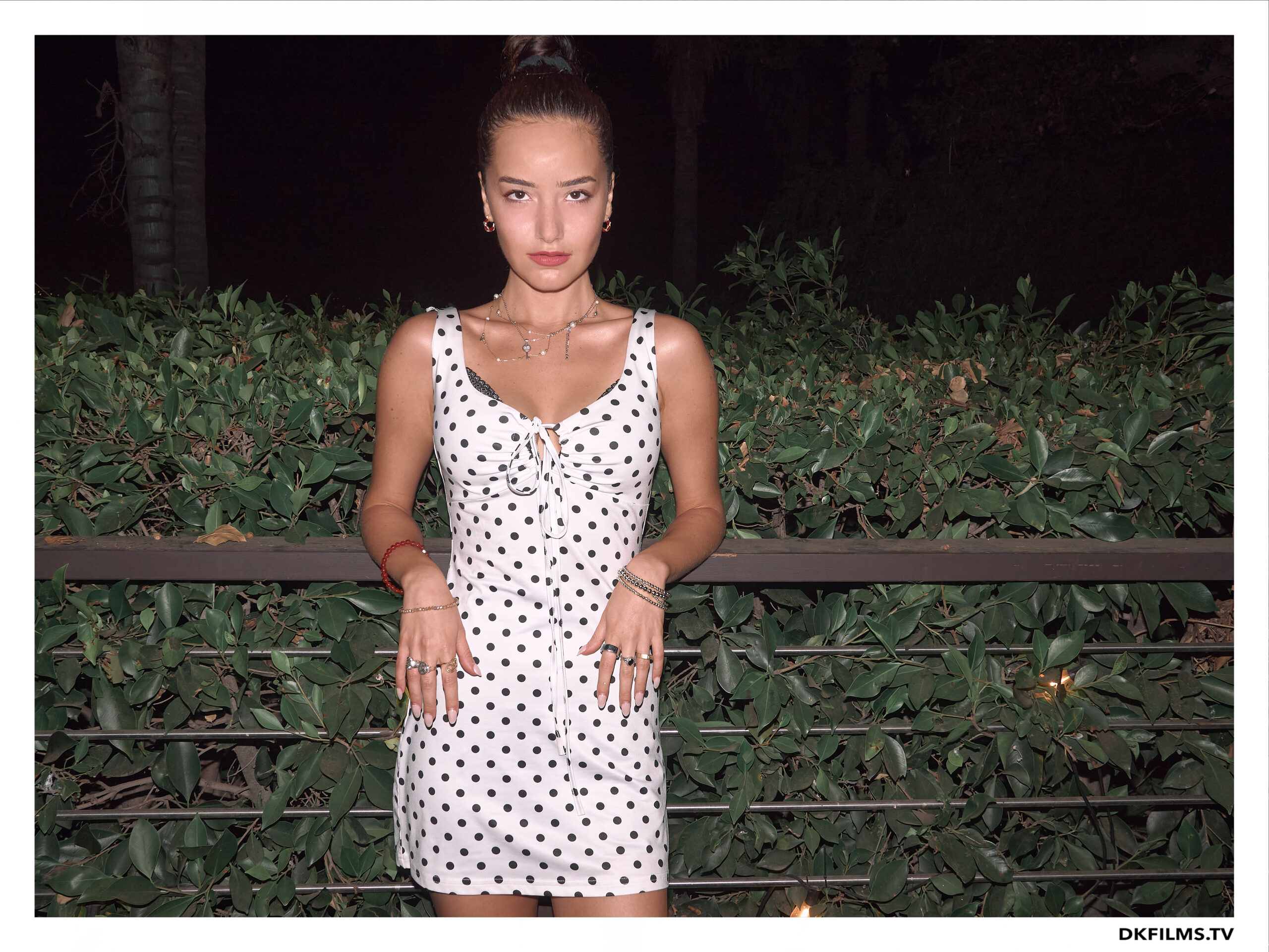 Damiano’s-Hollywood-Hills-Party Damiano’s-Hollywood-Hills-Party