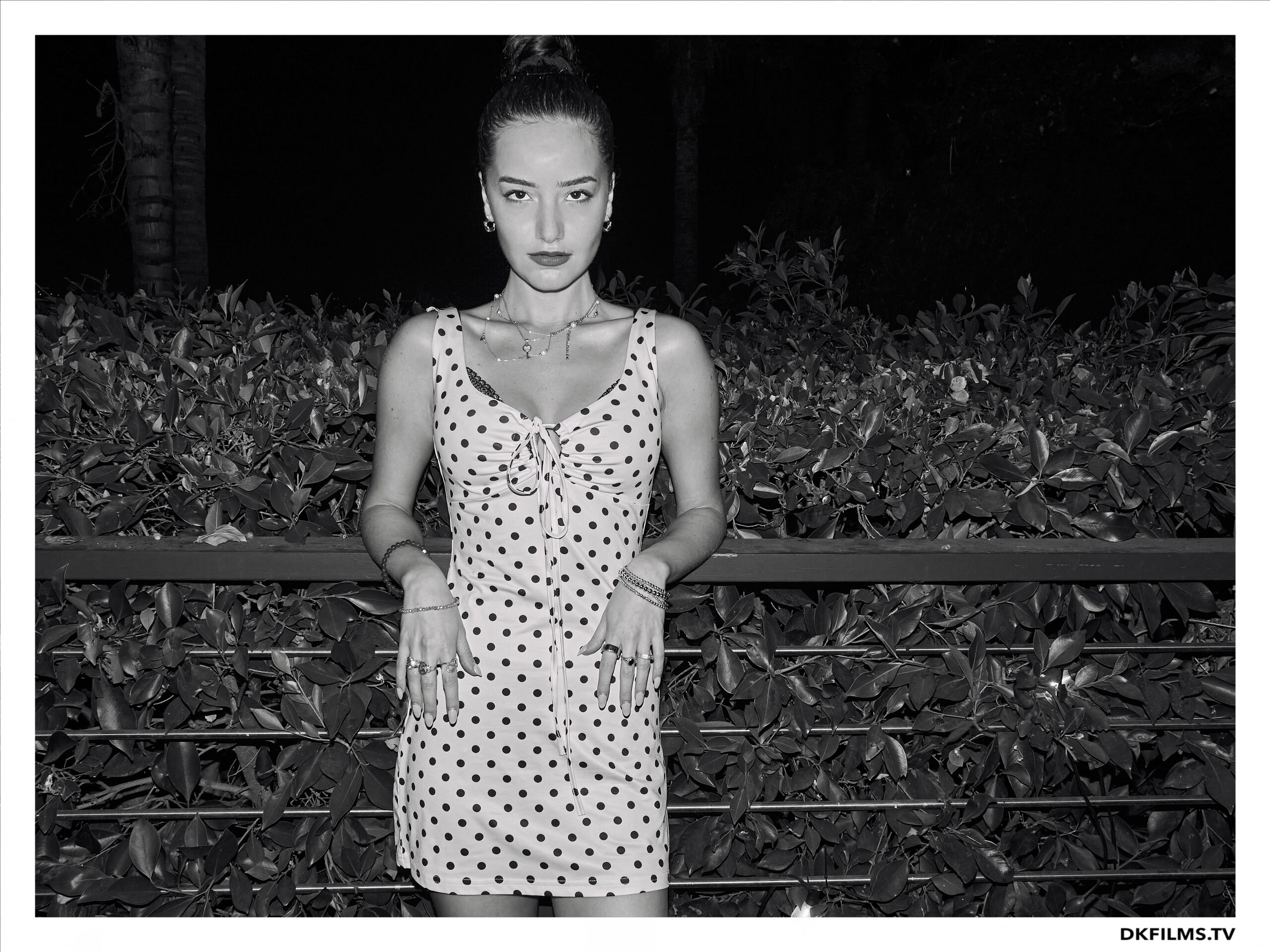 Damiano’s-Hollywood-Hills-Party Damiano’s-Hollywood-Hills-Party