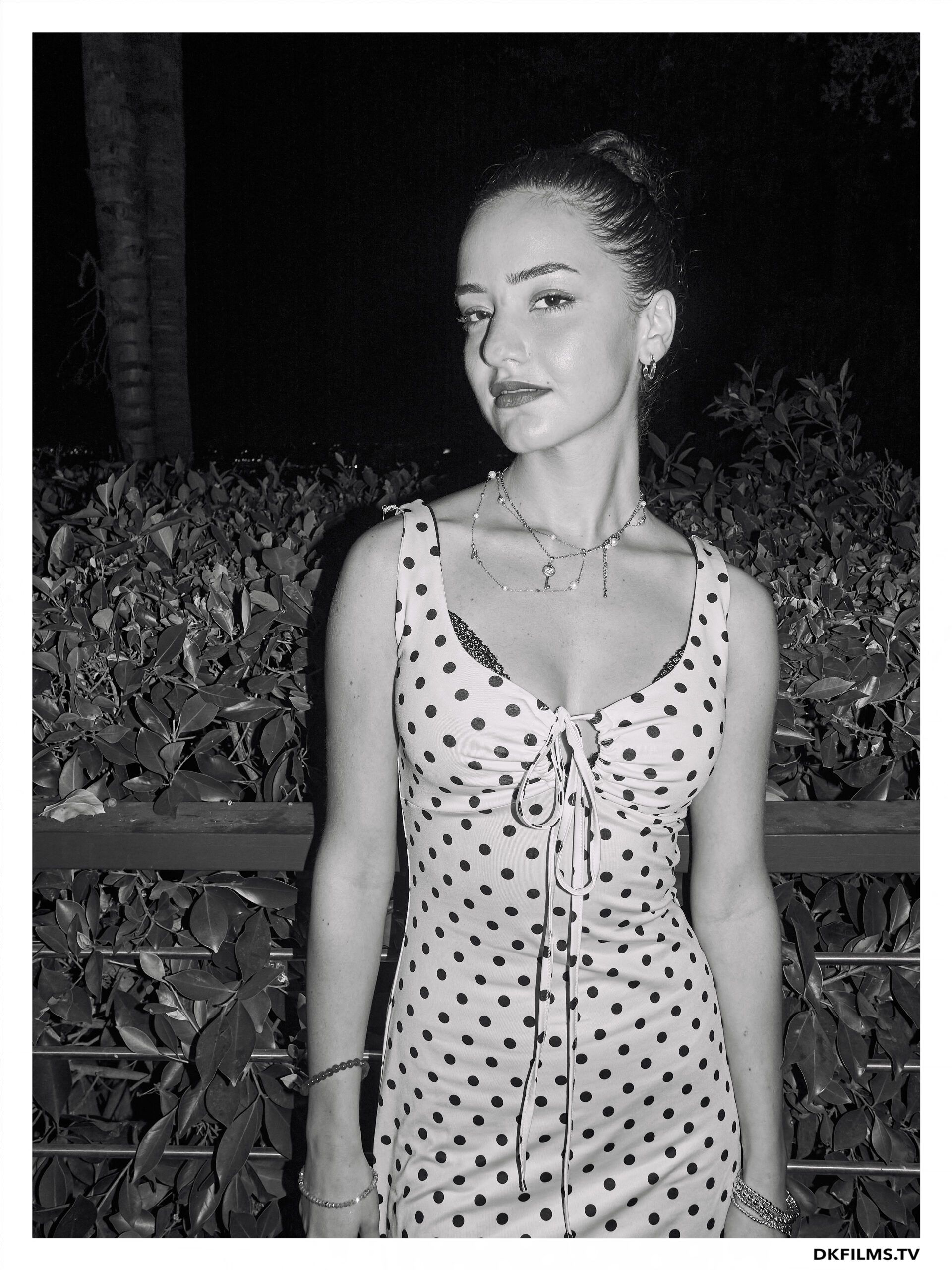 Damiano’s-Hollywood-Hills-Party Damiano’s-Hollywood-Hills-Party