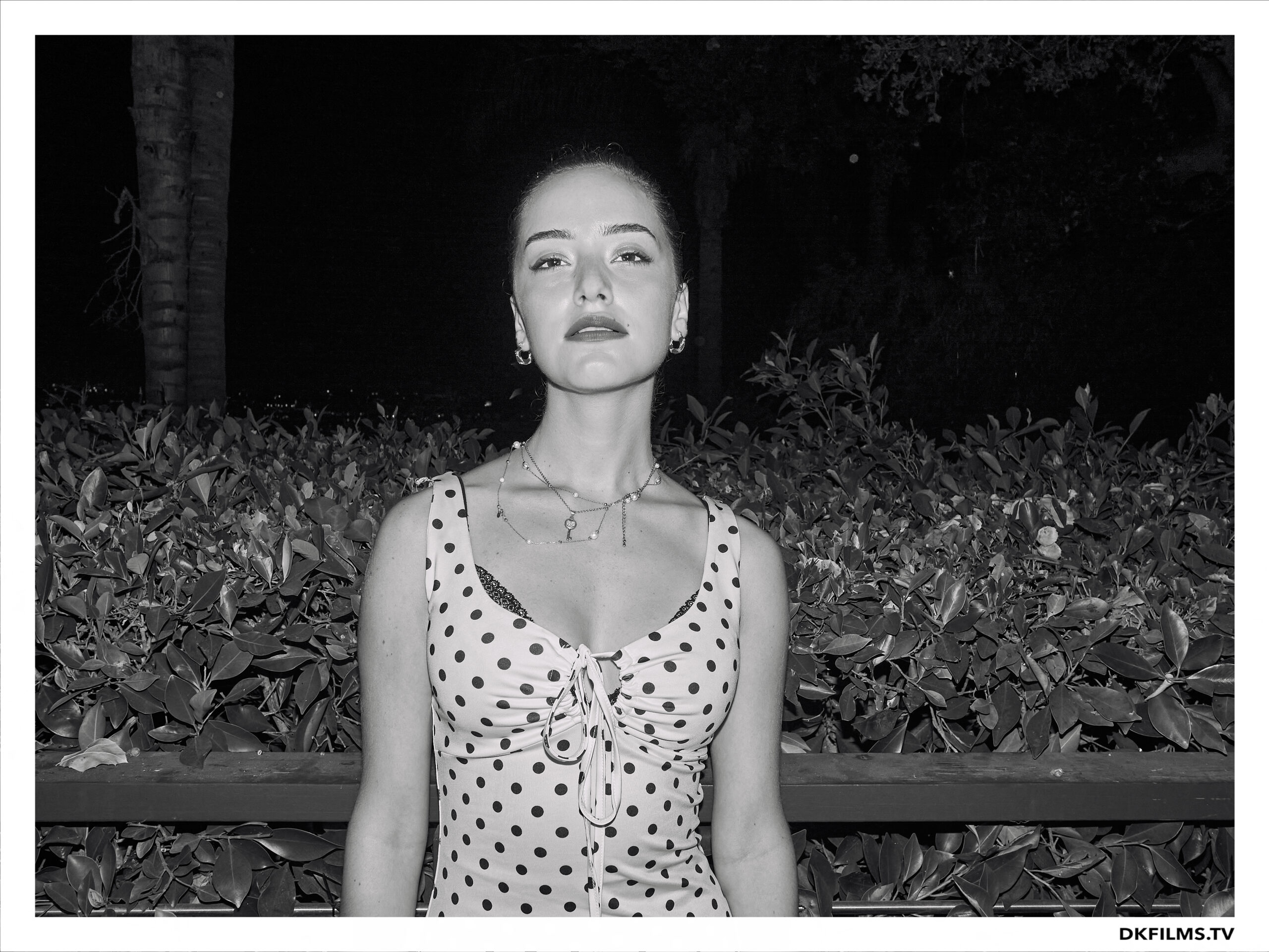 Damiano’s-Hollywood-Hills-Party Damiano’s-Hollywood-Hills-Party