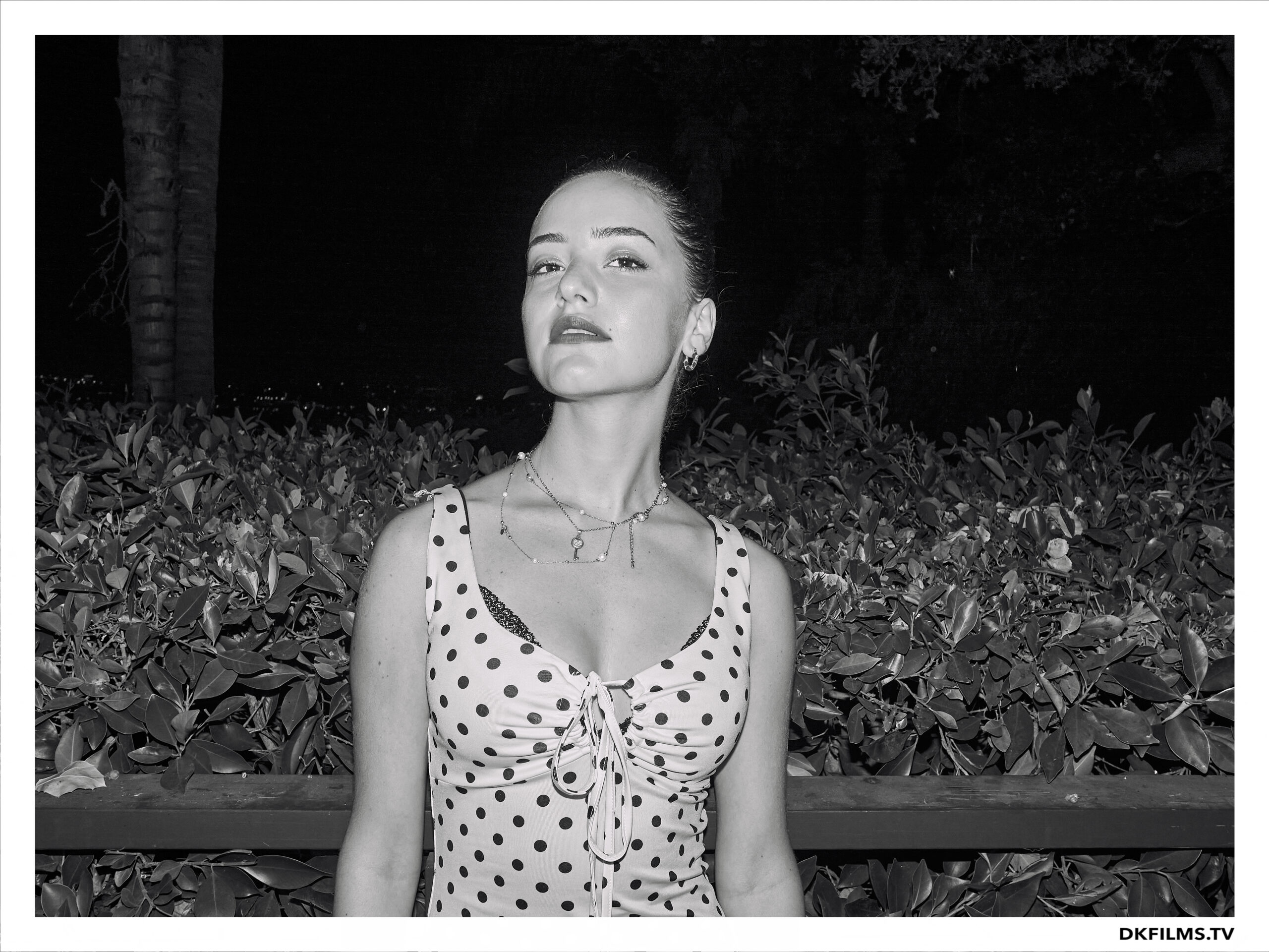 Damiano’s-Hollywood-Hills-Party Damiano’s-Hollywood-Hills-Party