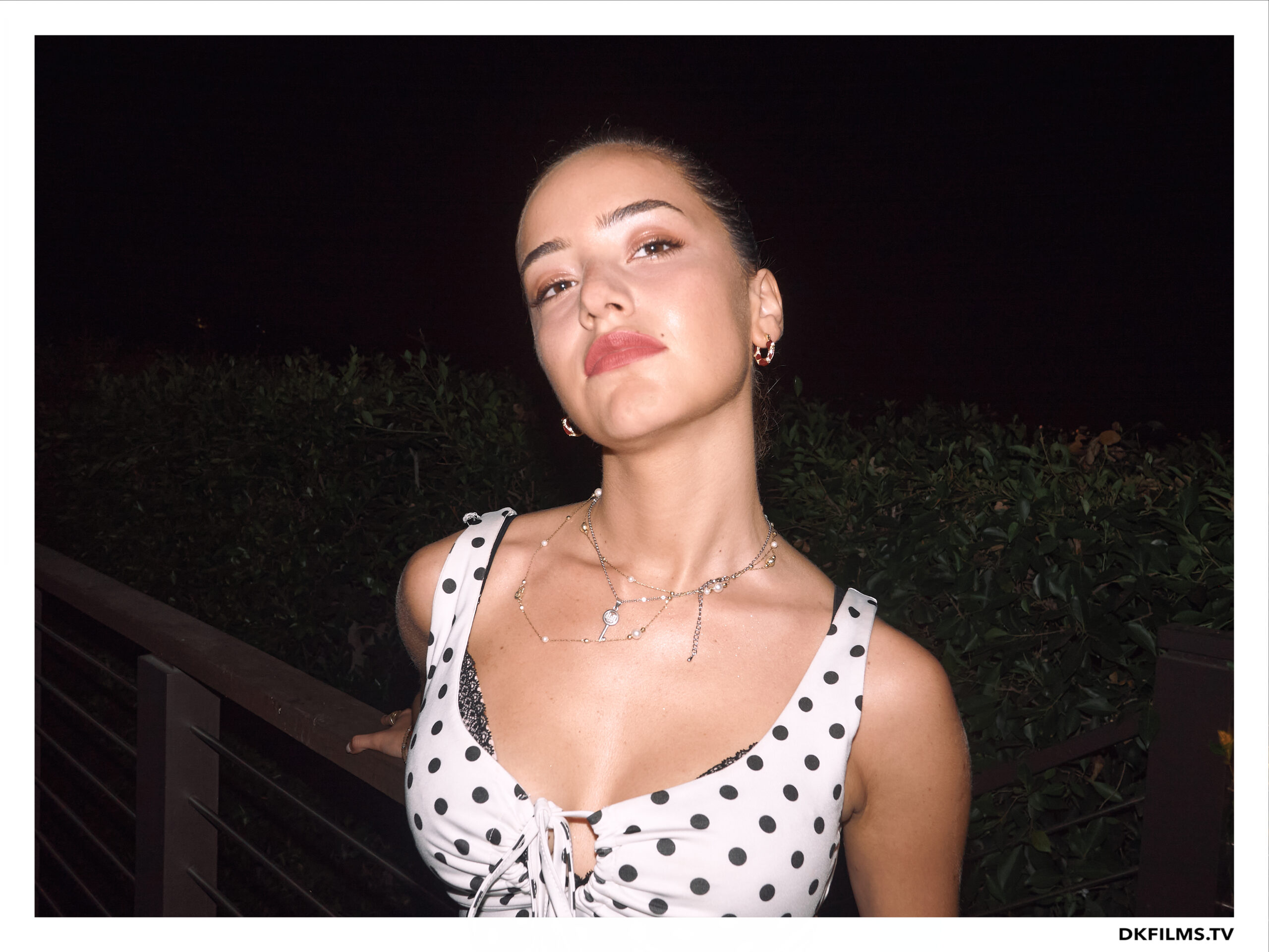 Damiano’s-Hollywood-Hills-Party Damiano’s-Hollywood-Hills-Party