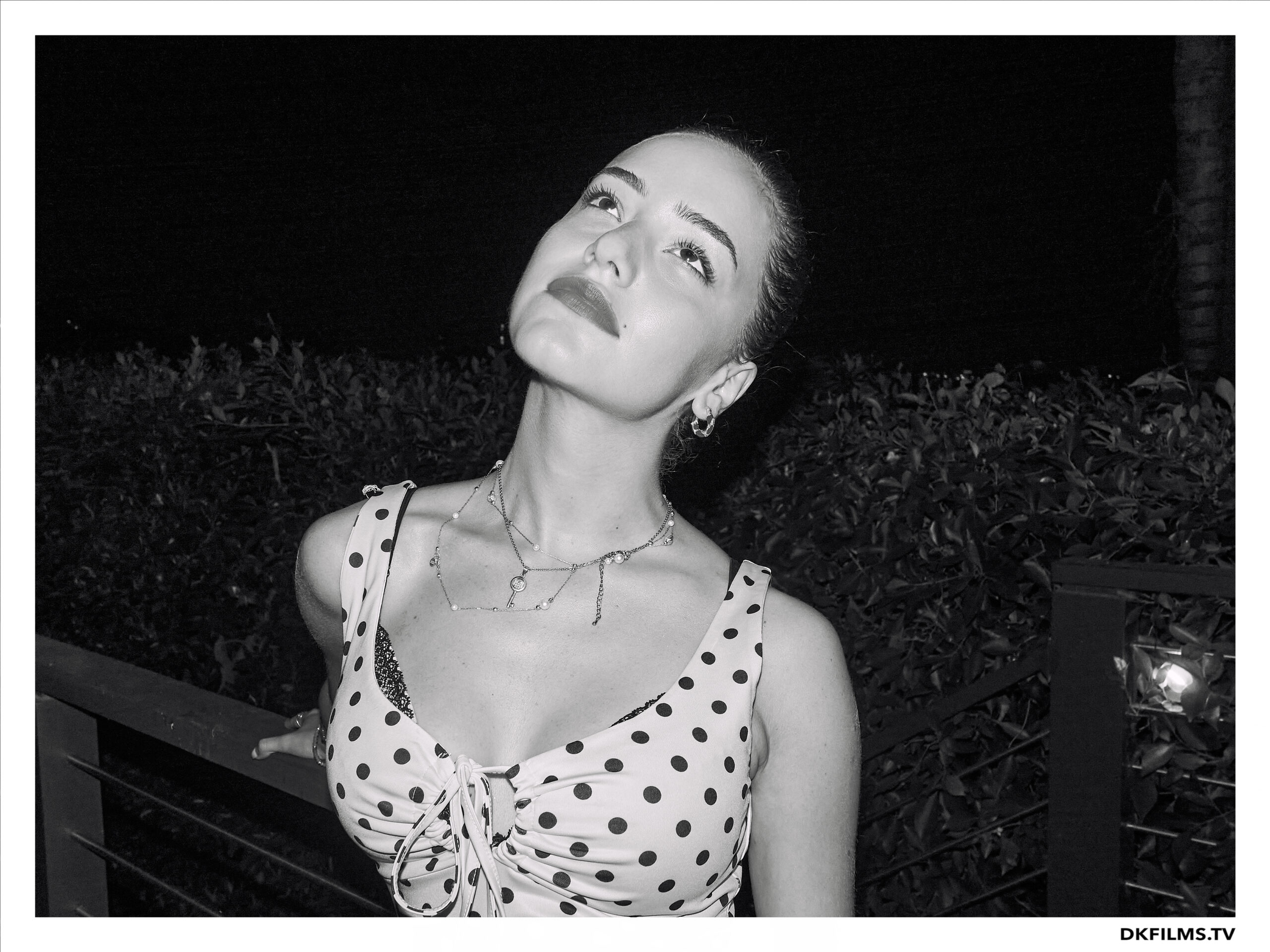 Damiano’s-Hollywood-Hills-Party Damiano’s-Hollywood-Hills-Party