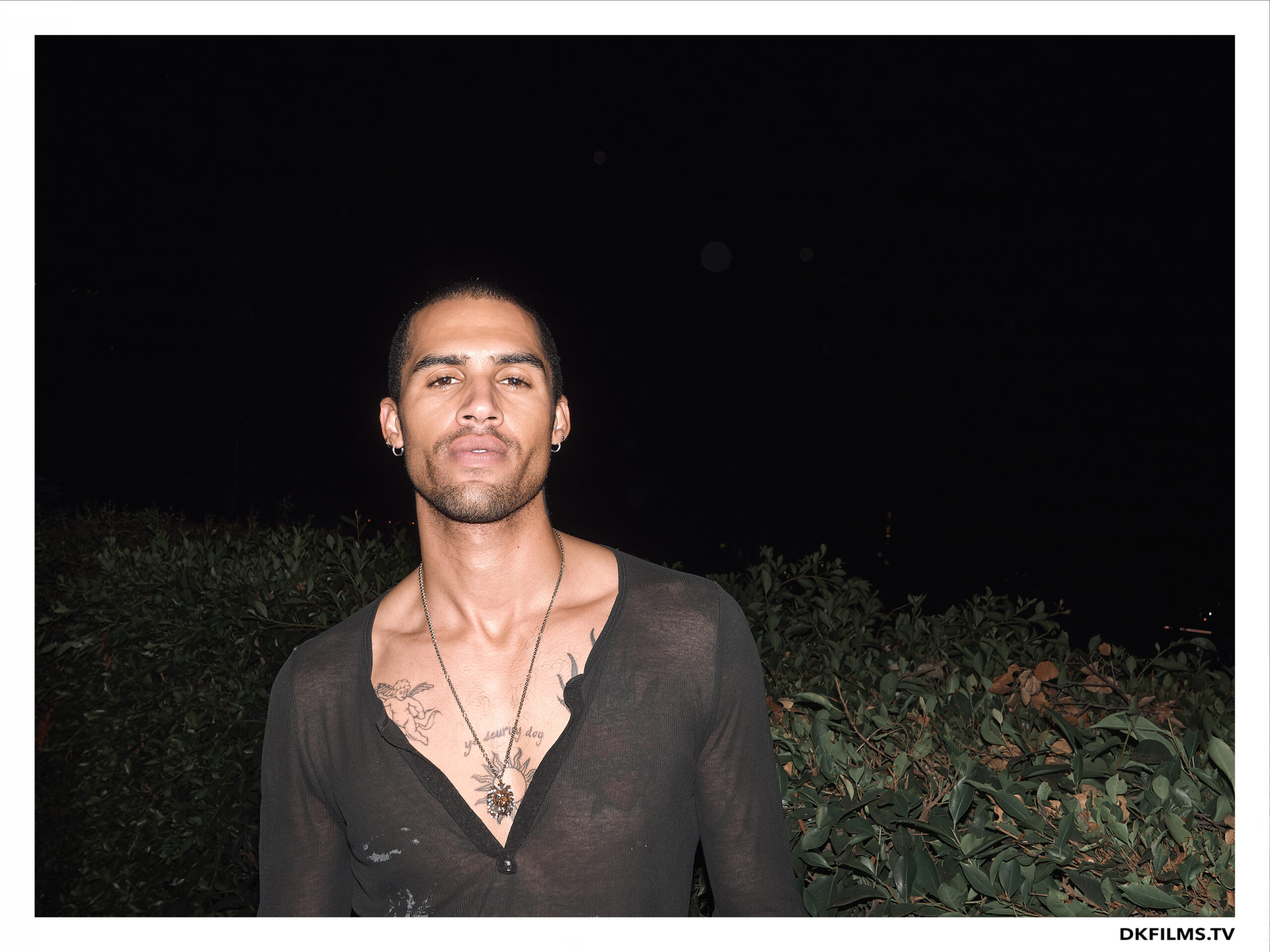 Damiano’s-Hollywood-Hills-Party Damiano’s-Hollywood-Hills-Party