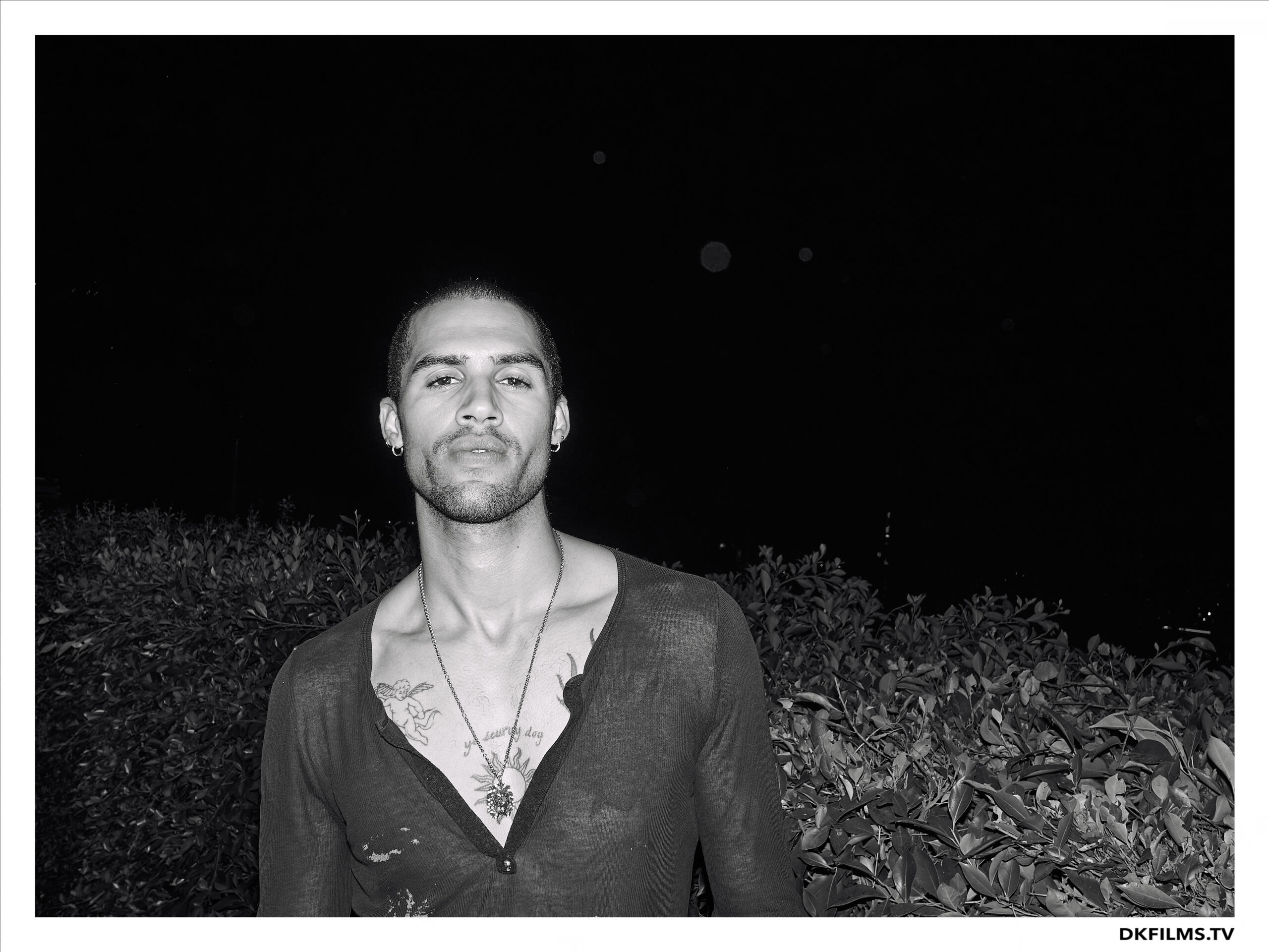 Damiano’s-Hollywood-Hills-Party Damiano’s-Hollywood-Hills-Party