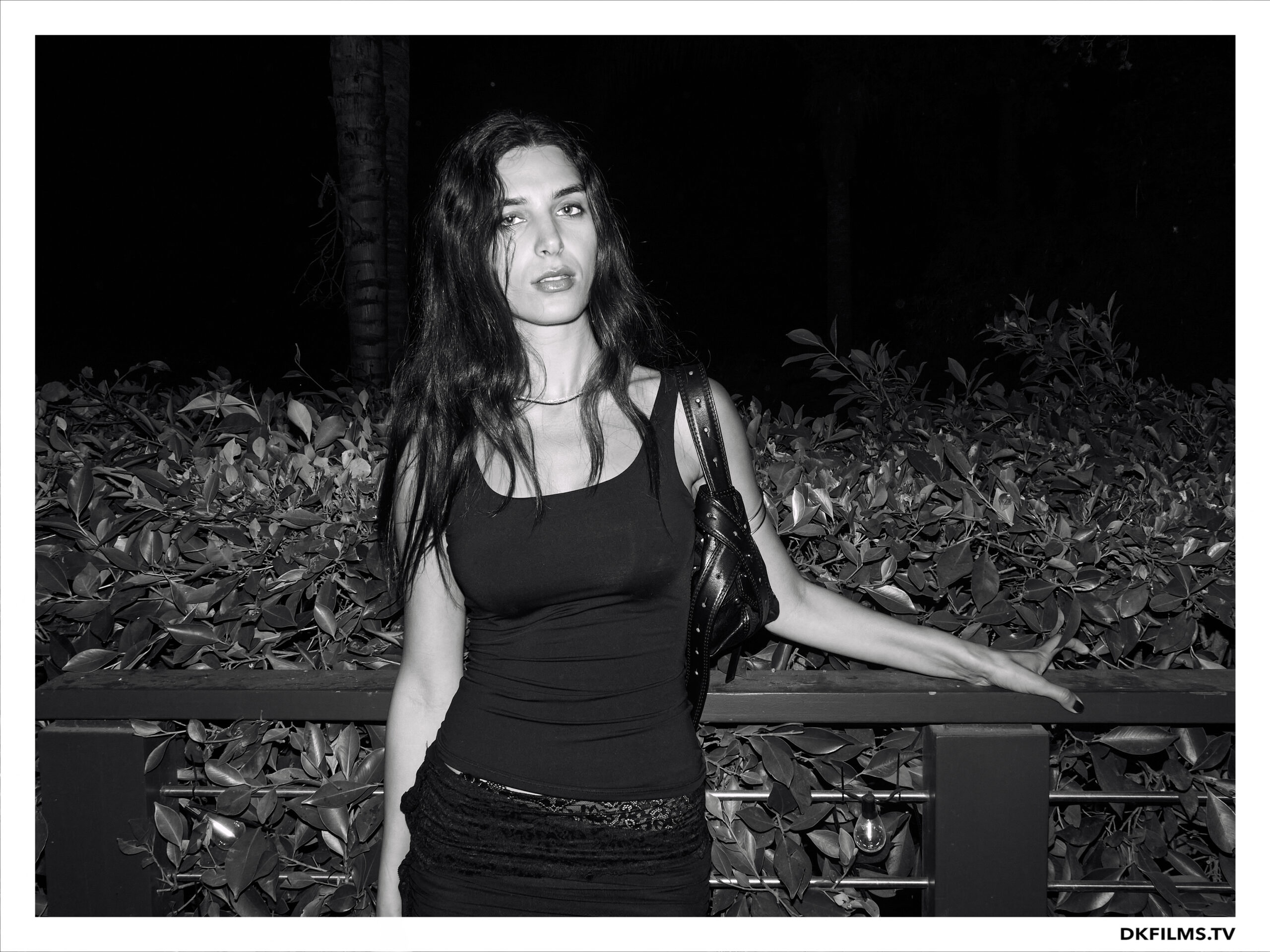 Damiano’s-Hollywood-Hills-Party Damiano’s-Hollywood-Hills-Party