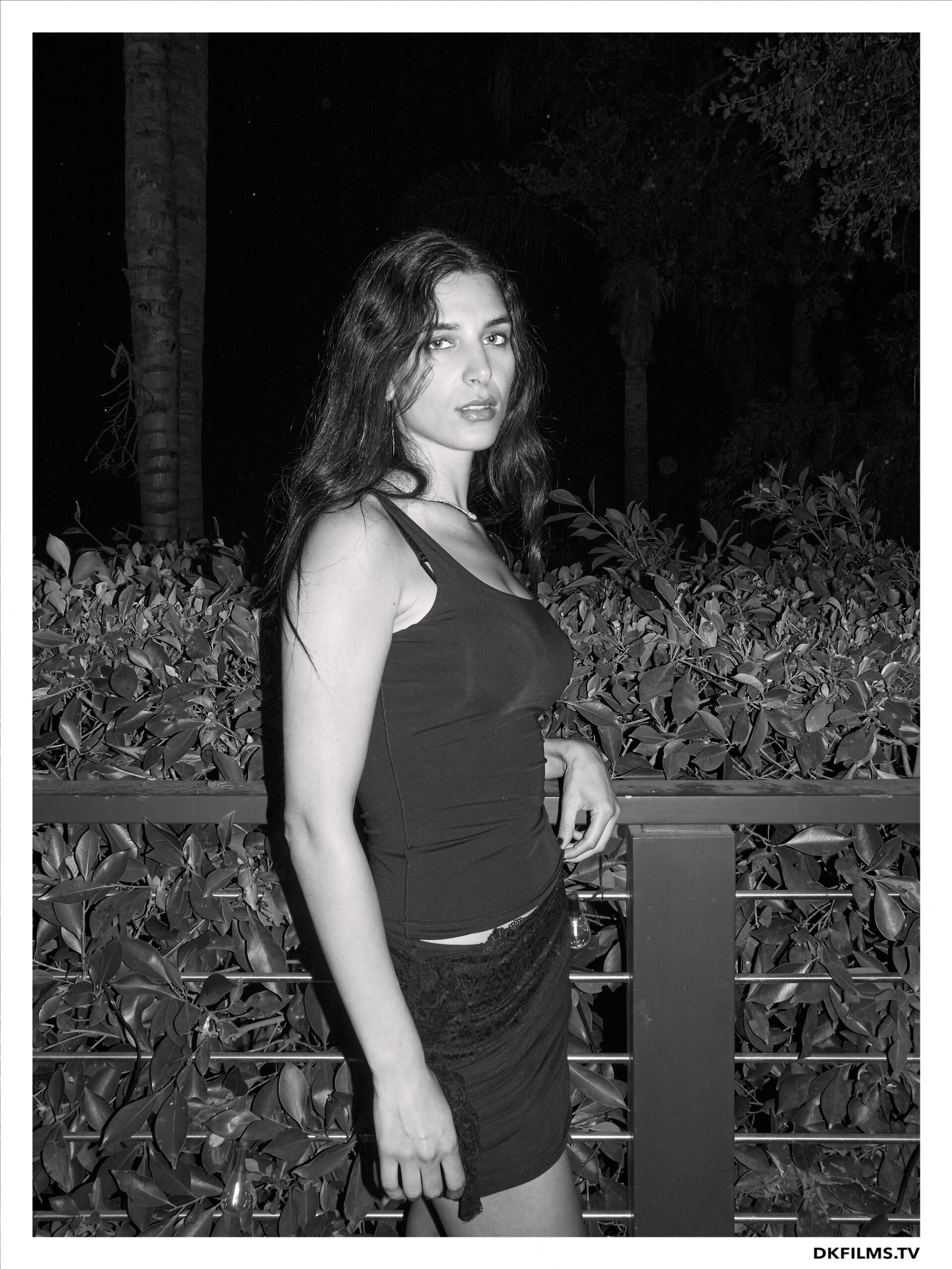 Damiano’s-Hollywood-Hills-Party Damiano’s-Hollywood-Hills-Party